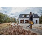 DEWALT 20V MAX* XR® Brushless Cordless Handheld Blower Kit (5.0Ah)
