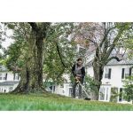 DEWALT 20V MAX* 14 in Cordless Folding String Trimmer (Tool Only)