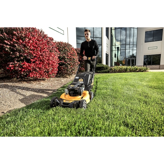 DEWALT 21 in. Low Wheel Self Propelled RWD Mower The Power Shop