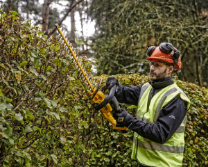 Dewalt Power Tools: Cutting and pruning tools